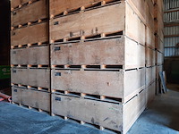 Partij graszaad droogkisten (ca. 80x) - afbeelding 3 van  6