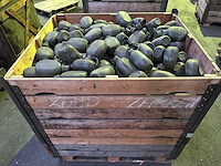 Partij groene kunststof veldflessen - afbeelding 2 van  3