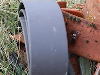 Partij halfronde monnikspannen - afbeelding 4 van  5