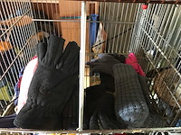 Partij handschoenen en mutsen - afbeelding 3 van  7