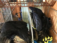 Partij handschoenen en mutsen - afbeelding 4 van  7