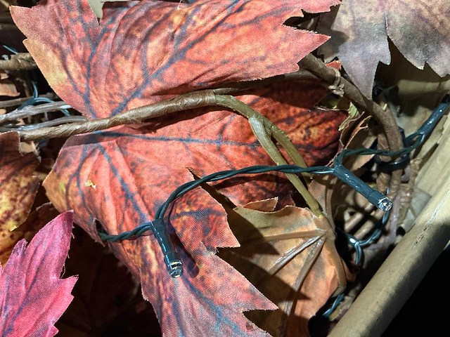 Partij herfst accessoires - afbeelding 3 van  11