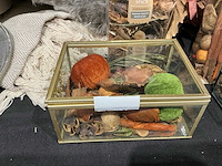 Partij herfst accessoires - afbeelding 4 van  11