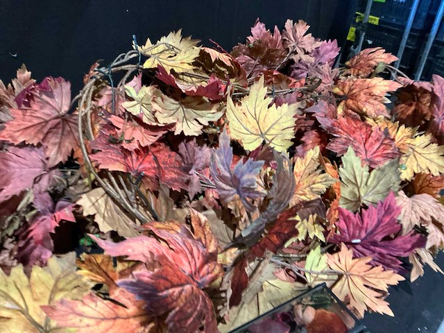 Partij herfst accessoires - afbeelding 7 van  11