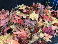 Partij herfst accessoires - afbeelding 7 van  11