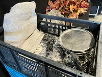 Partij herfst accessoires - afbeelding 9 van  11