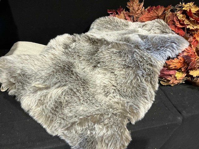 Partij herfst accessoires - afbeelding 11 van  11