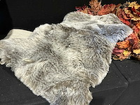 Partij herfst accessoires - afbeelding 11 van  11