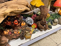 Partij herfstdecorqtie - afbeelding 3 van  3