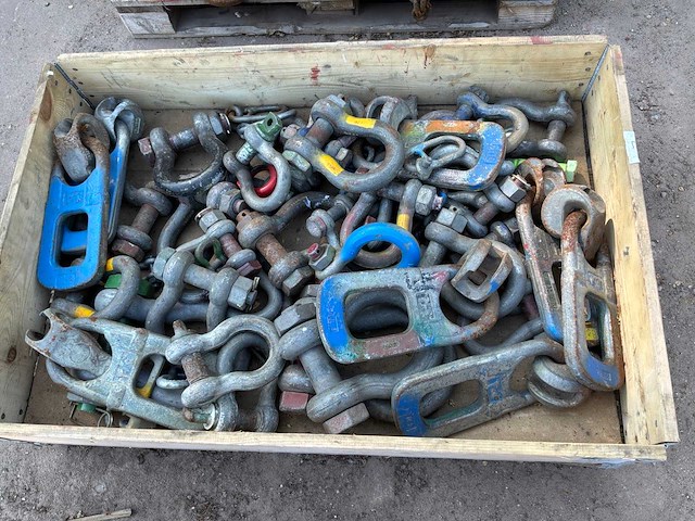 Partij hijsogen - afbeelding 2 van  2