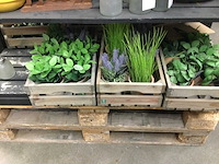 Partij huishoudelijke- en tuinartikelen - afbeelding 7 van  14