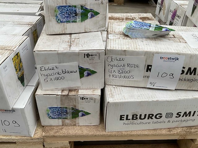 Partij hyacint etiketten - afbeelding 4 van  5