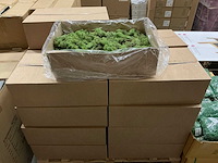 Partij ijslands mos groen 3kg (40x) - afbeelding 2 van  3