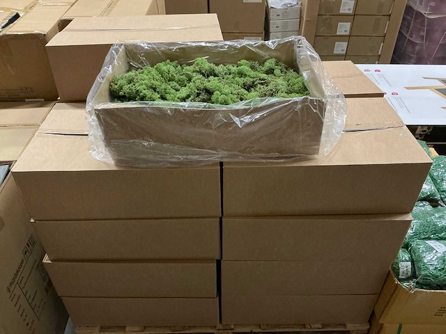 Partij ijslands mos groen 3kg (40x) - afbeelding 1 van  2