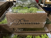 Partij ijslands mos springgreen (36x) - afbeelding 2 van  5