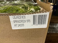 Partij ijslands mos springgreen (36x) - afbeelding 5 van  5