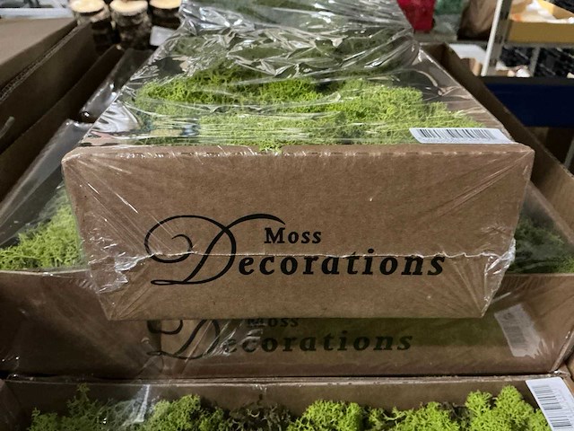 Partij ijslands mos springgreen (36x) - afbeelding 2 van  5