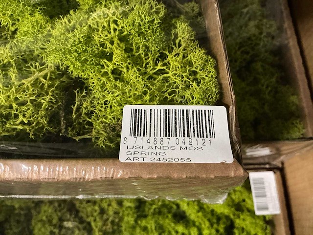 Partij ijslands mos springgreen (36x) - afbeelding 3 van  5