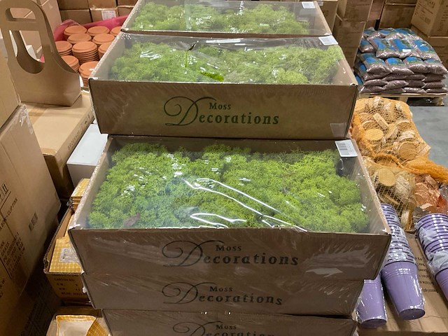 Partij ijslands mos springgreen (47x) - afbeelding 1 van  5