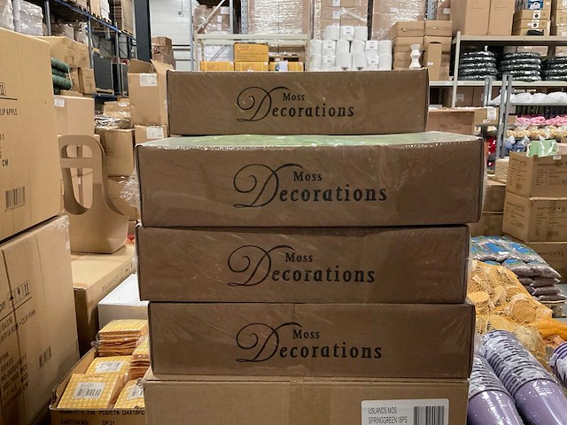 Partij ijslands mos springgreen (47x) - afbeelding 2 van  5