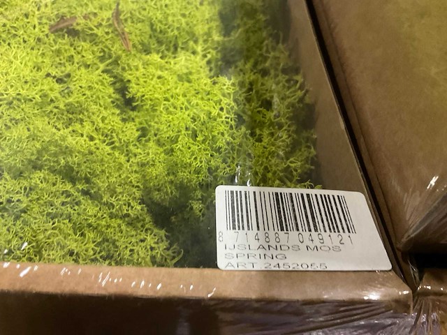 Partij ijslands mos springgreen (47x) - afbeelding 5 van  5