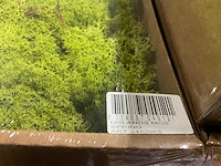 Partij ijslands mos springgreen (47x) - afbeelding 5 van  5