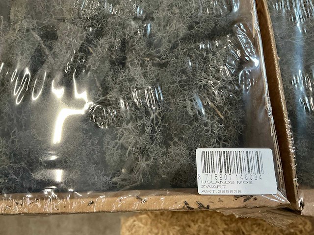 Partij ijslands moss zwart (138x) - afbeelding 2 van  2
