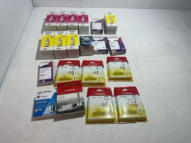 Partij inktcartridges en inktflessen epson, canon en wecare - afbeelding 1 van  3