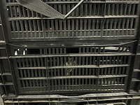 Partij it toebehoren - afbeelding 4 van  7