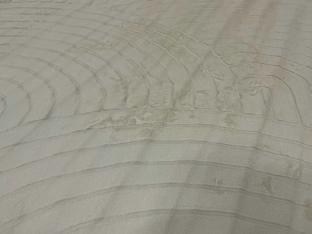 Partij japandi fluffy boogjes ivory 200x200cm round vloerkleden (12x) - afbeelding 3 van  5