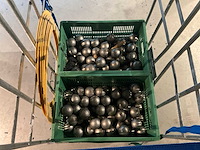 Partij jeu de boul toebehoren - afbeelding 12 van  13