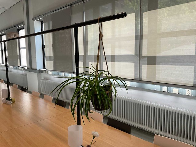 Partij kamerplanten in pot, 10 stuks - afbeelding 8 van  11