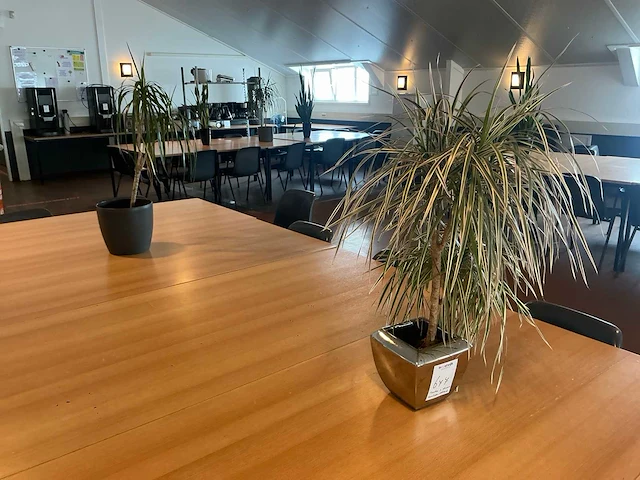 Partij kantine accessoires en decoratie - afbeelding 1 van  11