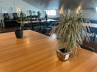 Partij kantine accessoires en decoratie
