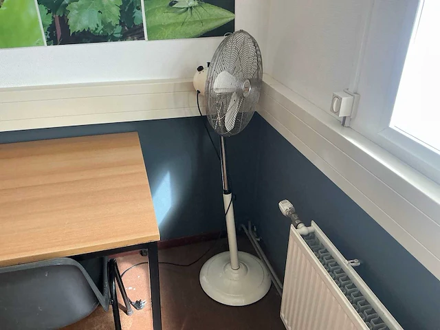 Partij kantine accessoires en decoratie - afbeelding 7 van  11