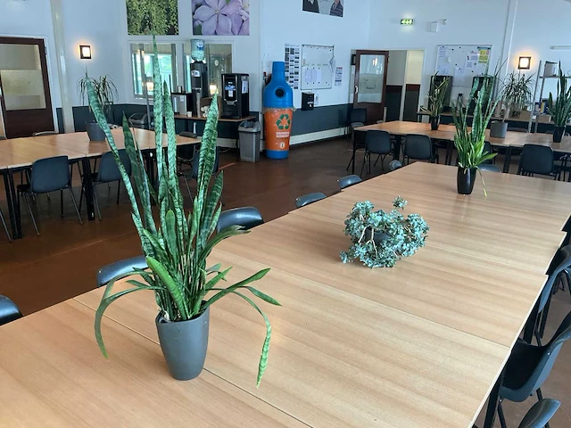 Partij kantine accessoires en decoratie - afbeelding 9 van  11