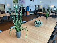 Partij kantine accessoires en decoratie - afbeelding 9 van  11