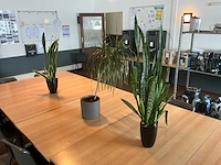 Partij kantine accessoires en decoratie - afbeelding 11 van  11