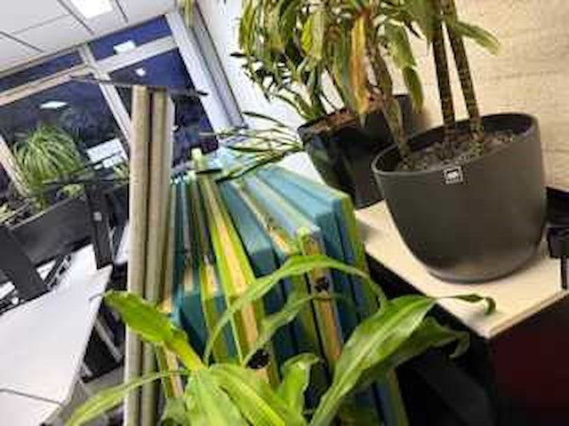 Partij kantoor inventaris - afbeelding 3 van  4