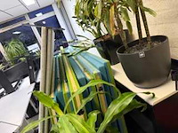 Partij kantoor inventaris - afbeelding 3 van  4