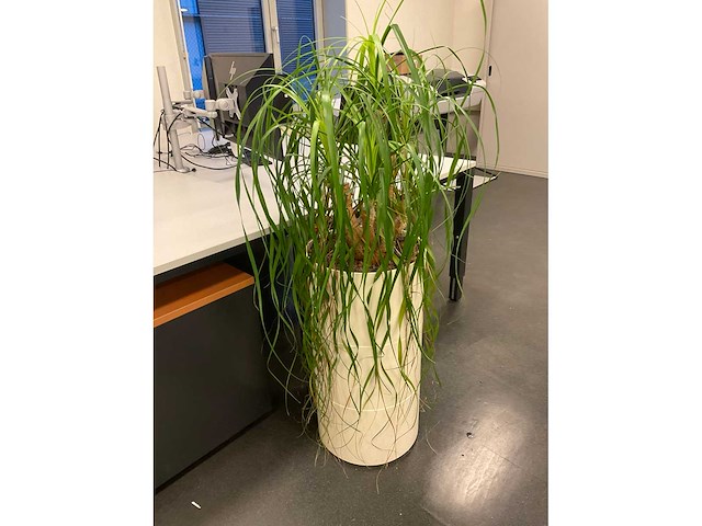 Partij kantoorinventaris - afbeelding 4 van  34