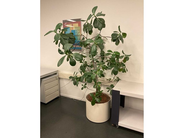 Partij kantoorinventaris - afbeelding 10 van  34