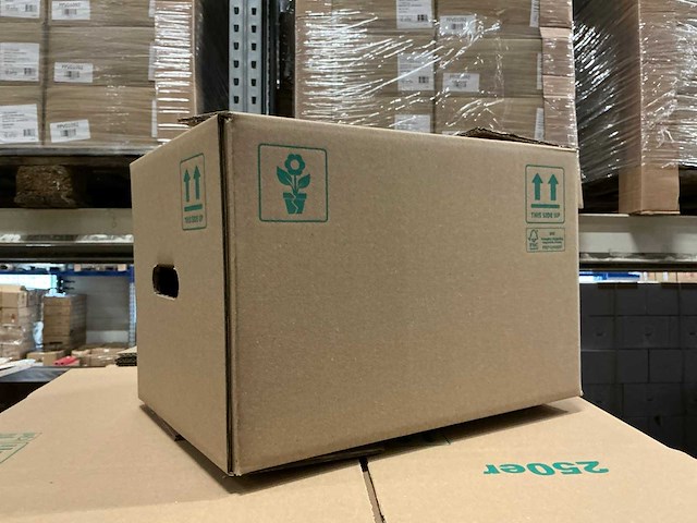 Partij kartonnen bloemen dozen 387x280x250mm (300x) - afbeelding 1 van  5