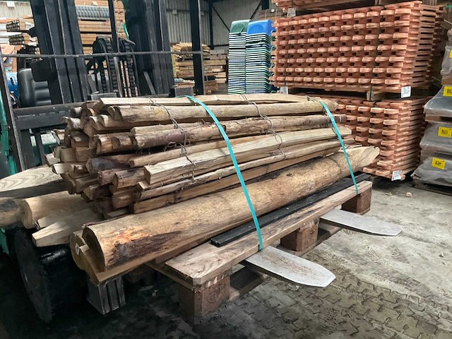 Partij kastanje palen met hekwerk - afbeelding 1 van  5