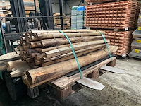 Partij kastanje palen met hekwerk - afbeelding 1 van  5