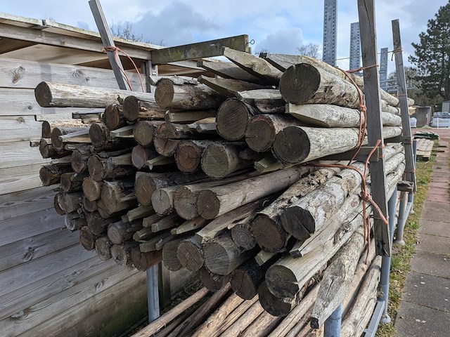 Partij kastanjepalen - afbeelding 4 van  9