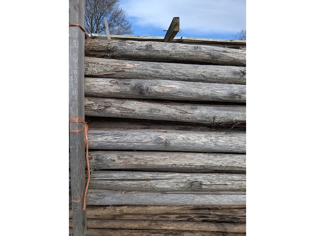 Partij kastanjepalen - afbeelding 5 van  9