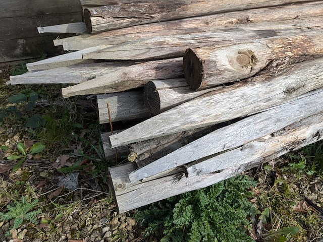 Partij kastanjepalen - afbeelding 8 van  9