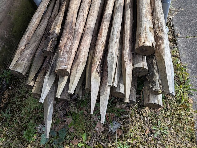 Partij kastanjepalen - afbeelding 9 van  9