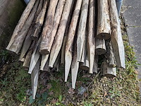 Partij kastanjepalen - afbeelding 9 van  9